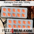 Kamagra Oral Jelly 100Mg Sildenafil 27